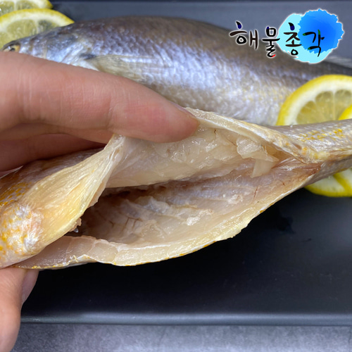 해물총각 반건조 생선 손질 부세 조기 (중)160g내외