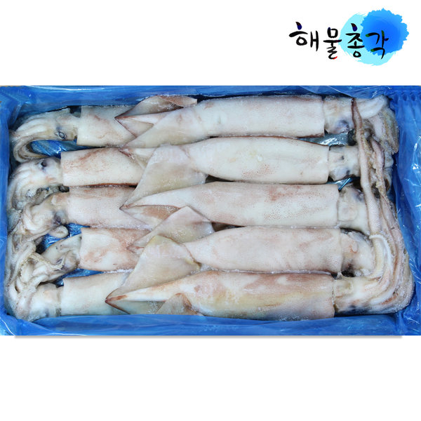 냉동 오징어 1박스 볶음 숙회 초무침 반건조용 해산물